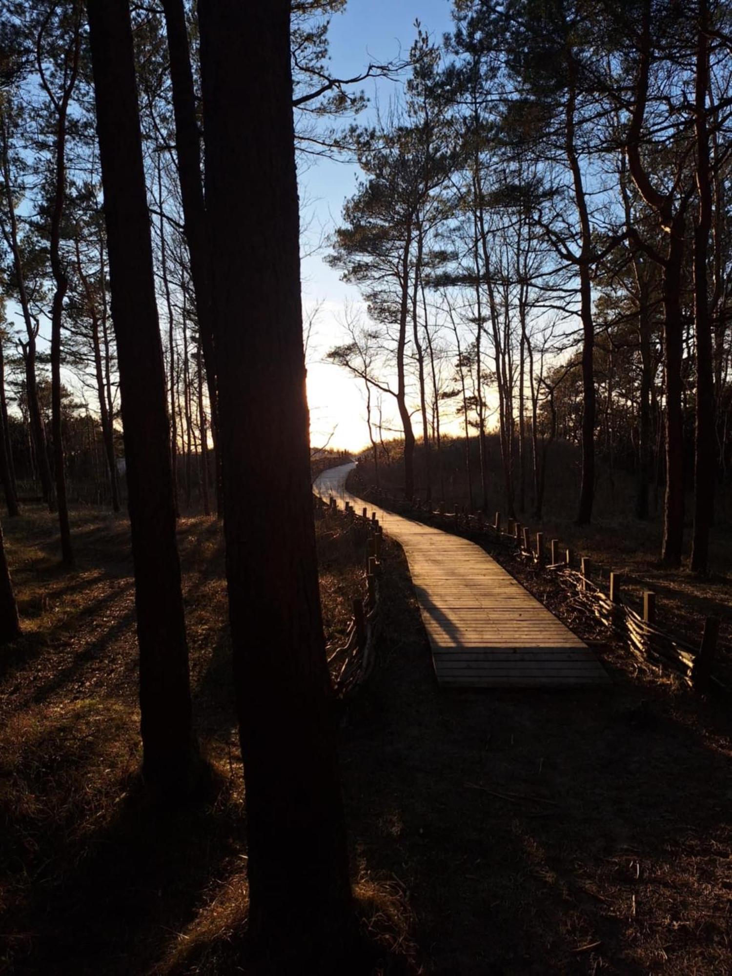Gintarautojai Otel Palanga Dış mekan fotoğraf